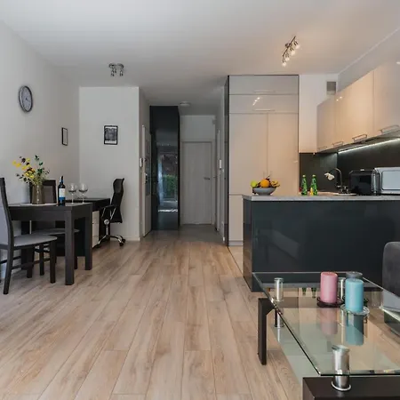 Apartwro - Przestronny Apartament Z Tarasem 5 Min Od Rynku Garaz Projektor * Wroclaw